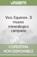 Vico Equenze. Il museo mineralogico campano libro