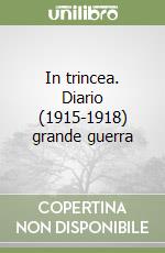 In trincea. Diario (1915-1918) grande guerra libro