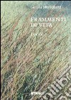 Frammenti di vita libro di Mereghetti Gianni