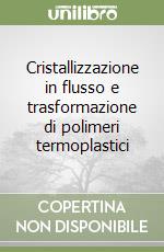 Cristallizzazione in flusso e trasformazione di polimeri termoplastici