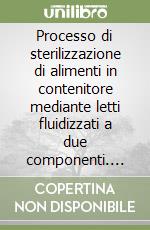 Processo di sterilizzazione di alimenti in contenitore mediante letti fluidizzati a due componenti. Analisi sperimentale, modellazione matematica e calcolo numerico libro