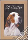 setter inglese libro di Ammannati Alighiero Grassi Rodolfo