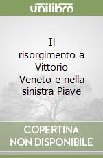 Il risorgimento a Vittorio Veneto e nella sinistra Piave libro