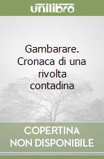 Gambarare. Cronaca di una rivolta contadina