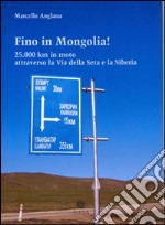 Fino in Mongolia! 25.000 km attraverso la Via della Seta e la Siberia libro