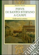 Pieve di Santo Stefano a Campi. Guida storico-artistica