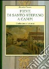 Pieve di Santo Stefano a Campi. Guida storico-artistica libro