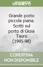 Grande porto piccola piana. Scritti sul porto di Gioia Tauro (1995-98) libro