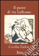 Il pazzo di via Galbosso libro