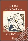 Il pazzo di via Galbosso libro