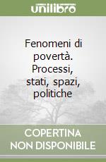 Fenomeni di povertà. Processi, stati, spazi, politiche libro