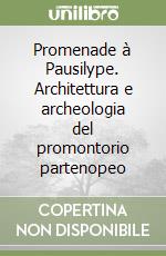 Promenade à Pausilype. Architettura e archeologia del promontorio partenopeo libro