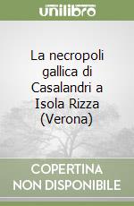 La necropoli gallica di Casalandri a Isola Rizza (Verona) libro