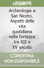 Archeologia a San Niceto. Aspetti della vita quotidiana nella fortezza tra XII e XV secolo libro