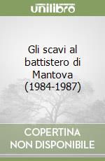 Gli scavi al battistero di Mantova (1984-1987) libro