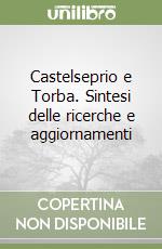 Castelseprio e Torba. Sintesi delle ricerche e aggiornamenti