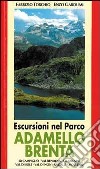 Escursioni nel parco Adamello-Brenta libro