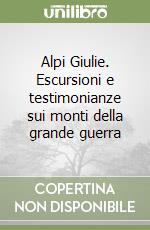 Alpi Giulie. Escursioni e testimonianze sui monti della grande guerra