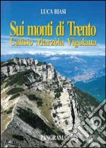 Sui monti di Trento. Calisio, Marzola, Vigolana