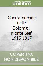 Guerra di mine nelle Dolomiti. Monte Sief 1916-1917