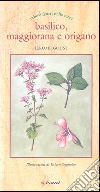 Basilico, maggiorana e origano