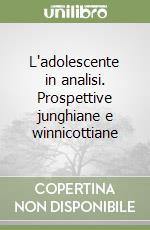 L'adolescente in analisi. Prospettive junghiane e winnicottiane