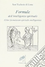 Formule dell'intelligenza spirituale (Liber formularum spiritalis intelligentiae) libro