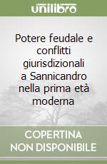 Potere feudale e conflitti giurisdizionali a Sannicandro nella prima età moderna libro