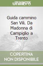 Guida cammino San Vili. Da Madonna di Campiglio a Trento libro