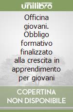 Officina giovani. Obbligo formativo finalizzato alla crescita in apprendimento per giovani