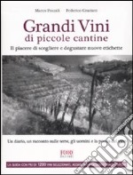 Grandi vini di piccole cantine. Il piacere di scegliere e degustare nuove etichette libro