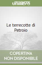 Le terrecotte di Petroio libro