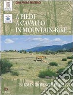 A piedi, a cavallo, in mountain-bike. 750 km in provincia di Arezzo libro