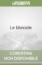 Le bbriciole libro