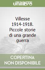 Villesse 1914-1918. Piccole storie di una grande guerra libro