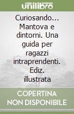 Curiosando... Mantova e dintorni. Una guida per ragazzi intraprendenti. Ediz. illustrata libro