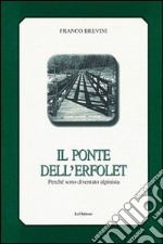 Verso un'identità professionale dell'insegnante, tra sapere e immaginario libro