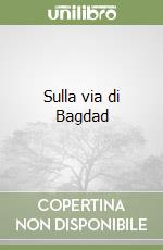 Sulla via di Bagdad libro