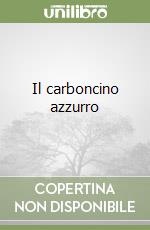 Il carboncino azzurro libro