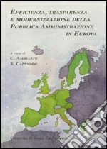 Efficienza, trasparenza e modernizzazione della pubblica amministrazione in Europa libro