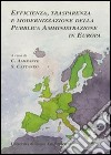 Efficienza, trasparenza e modernizzazione della pubblica amministrazione in Europa libro