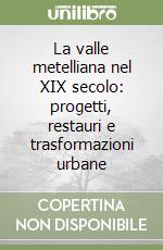 La valle metelliana nel XIX secolo: progetti, restauri e trasformazioni urbane libro