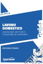 Lavoro domestico. Assunzione, gestione e cessazione del rapporto libro