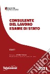 Consulente del lavoro. Esame di stato. Temi svolti di diritto del lavoro e della legislazione sociale e prove teorico pratiche di diritto tributario. Nuova ediz. libro