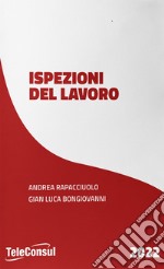 L'ispezione del lavoro libro