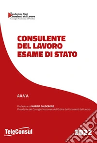 Consulente del lavoro. Esame di Stato 2022 libro