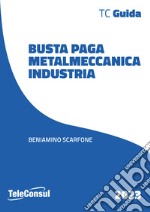 Busta paga. Metalmeccanici