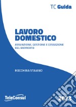 Lavoro domestico. Assunzione, gestione e cessazione del rapporto libro