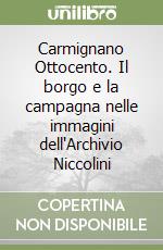 Carmignano Ottocento. Il borgo e la campagna nelle immagini dell'Archivio Niccolini libro