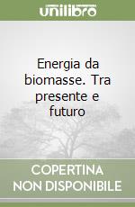 Energia da biomasse. Tra presente e futuro